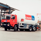 C016.jpg