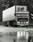 D005.jpg